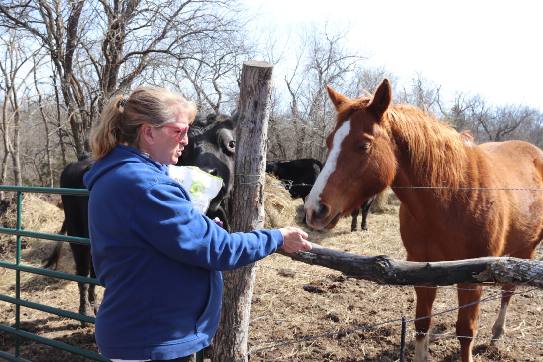 Local animal sanctuary looking to raise money to buy new land, publish a children’s book and expand educational opportunities